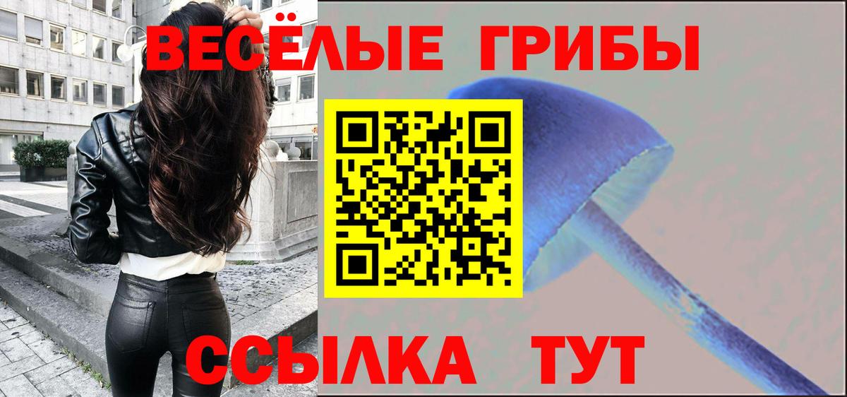 Псилоцибиновые грибы Cubensis Майкоп