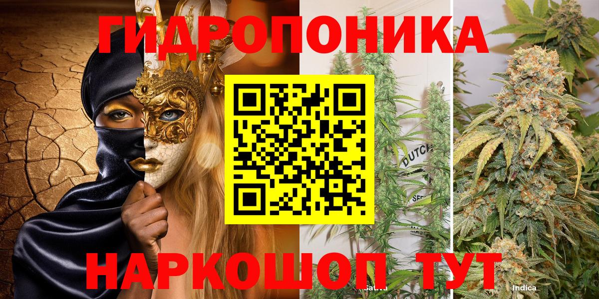 Каннабис индика Майкоп